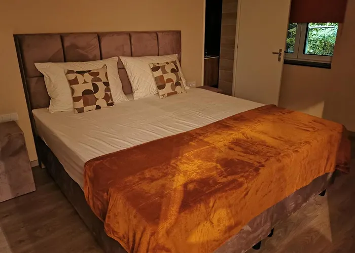 Bed & Breakfast Parkzicht 4*